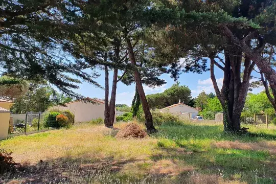 terrain-diffus-moutiers-en-retz