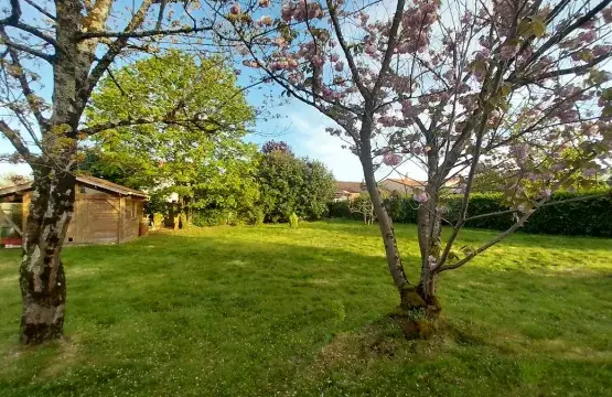 vue exterieure terrain bouguenais